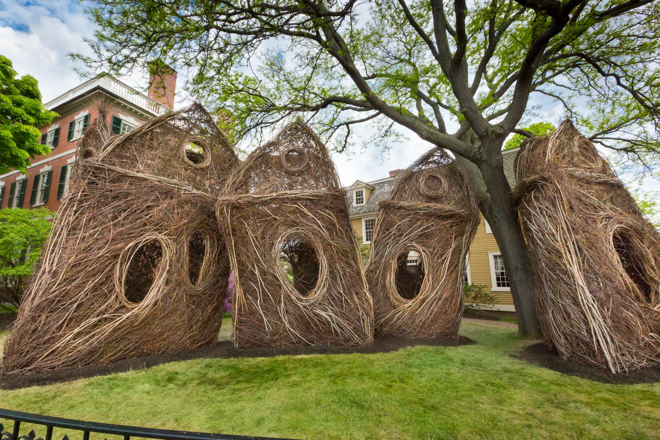 Patrick Dougherty's Stickwork Exhibition Documentation