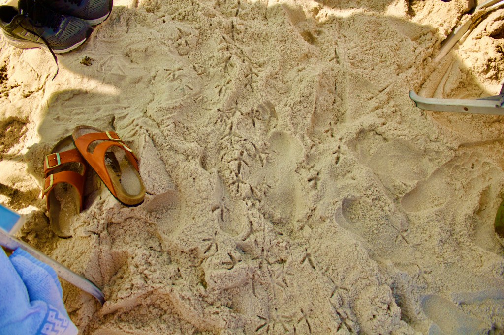 A close-up of sandy beach with footprints and a pair of brown sandals beside a blue towel.